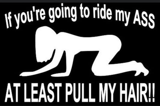 If You're Going to Ride My ass At Least Pull My Hair First
